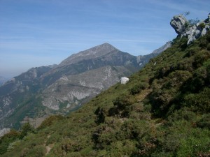 Estamos a la altura de la roca