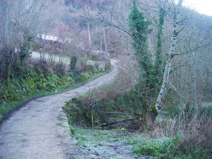 Pista de cemento