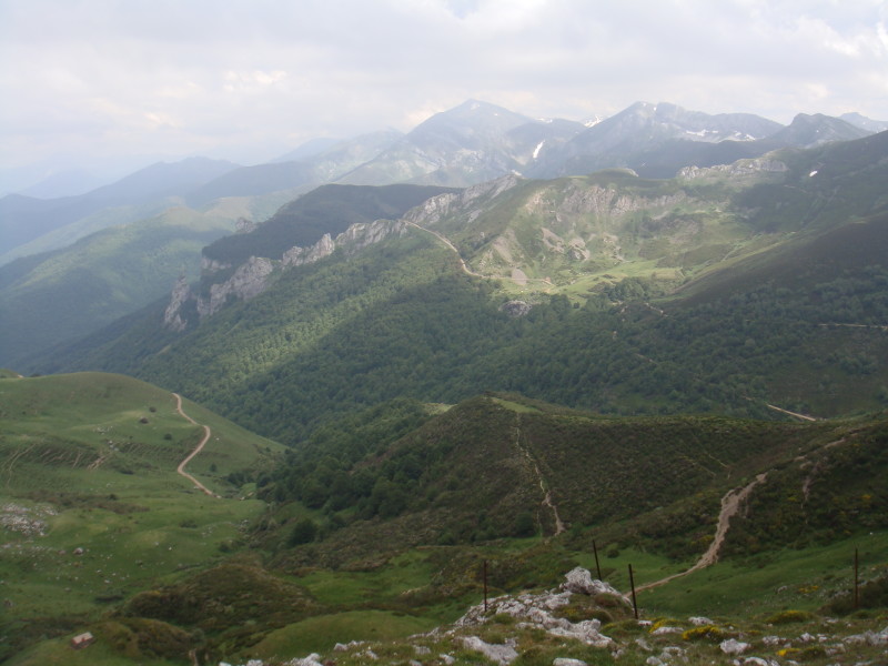 DSC03800