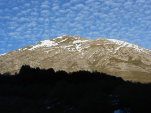 DSCN1686
