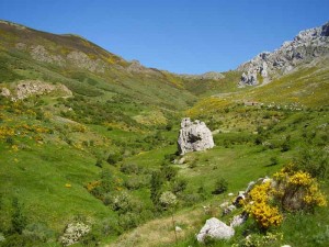 Collado Bucioso