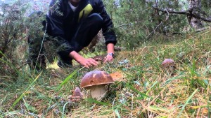 Cogiendo boletus