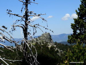 Peña Aguda